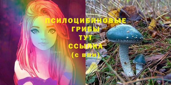 PSILOCYBIN Арсеньев