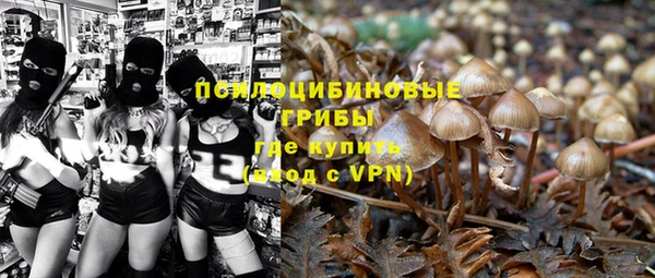 прущие крисы Аркадак