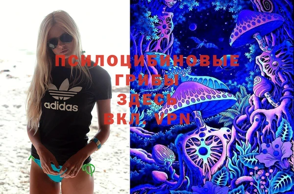 PSILOCYBIN Арсеньев